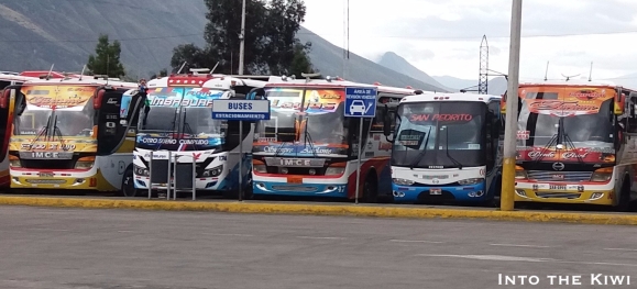 Buses in Ecuador